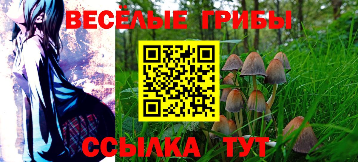 Псилоцибиновые грибы Magic Shrooms  наркошоп  Томск  Вход с VPN  Псилоцибиновые грибы Magic Shrooms 